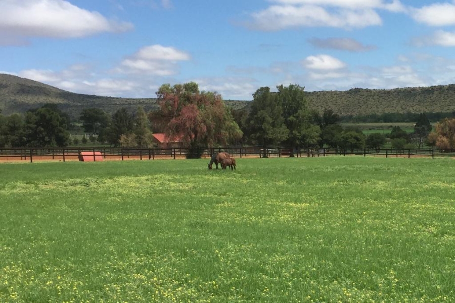 Commercial Property for Sale in Middelburg Rural Eastern Cape
